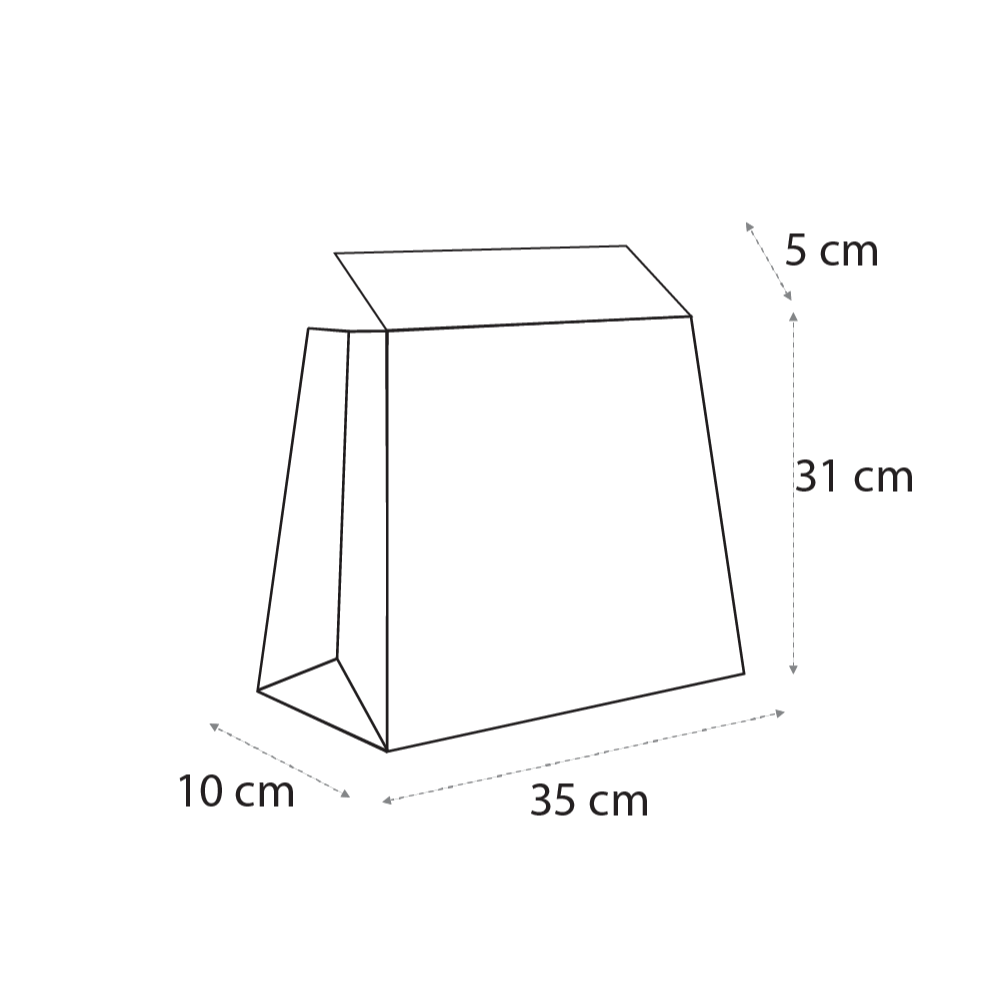 Courier Bag Dimensions